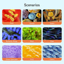 APEXEL digitalt mikroskop, 800X handhållet mikroskop med 2” IPS-skärm, foto- och videoportabelt mikroskop med justerbara lampor