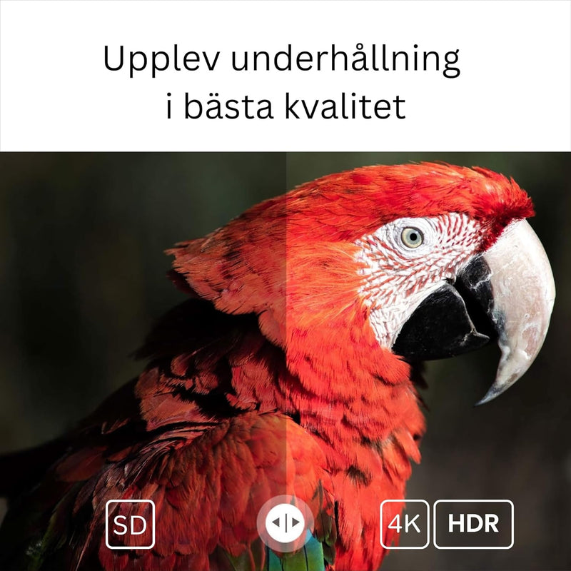 Google Certified TV Stick 4K HDR Android TV 14 WiFi Play Store Supports Netflix, YouTube, Disney+