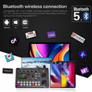Live Sound Card Audio Mixer, Podcast Audio Interface with DJ Mixer Effects for PS4 PS5 Karaoke Tiktok YouTube Live Streaming Record Gaming